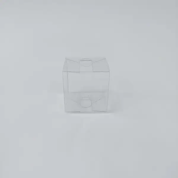 6x6x6 Full Asetat Kutu (Şeffaf PVC)
