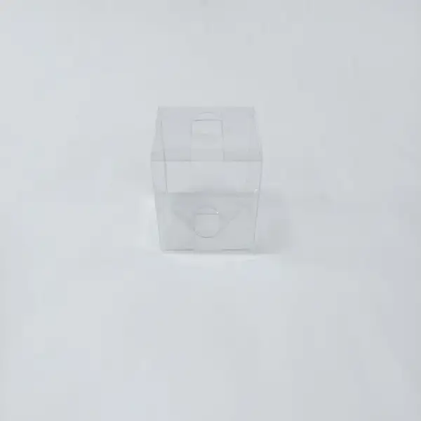6x6x7 Full Asetat Kutu (Şeffaf PVC)