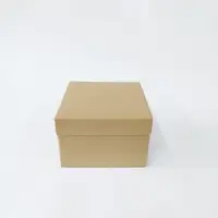 15x15x10 Komple Kraft Kutu - Görsel 1