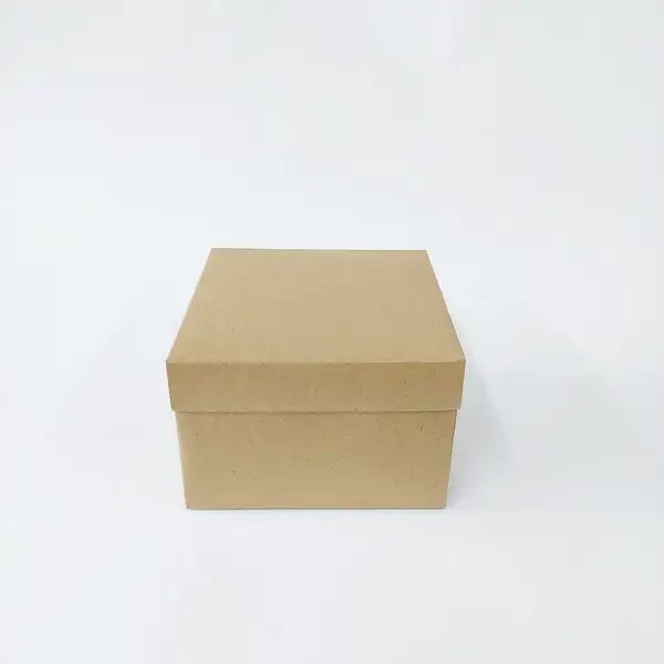 15x15x10 Komple Kraft Kutu