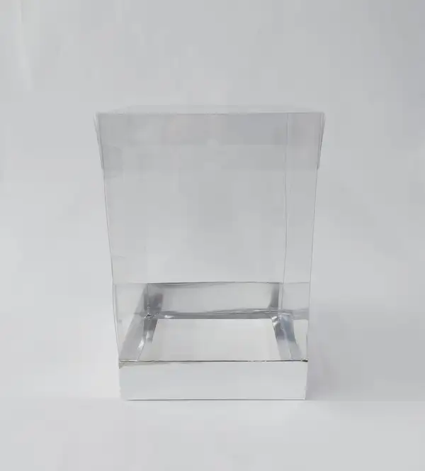 20x20x30 Gümüş Altı Kartonlu Asetat Kutu