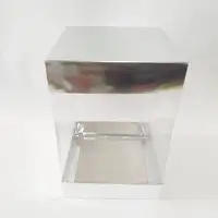 20x20x30 Gümüş Alt Üst Kartonlu Asetat Kutu - Görsel 1