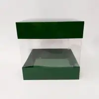 20x20x20 Yeşil Alt Üst Kartonlu Asetat Kutu - Görsel 1