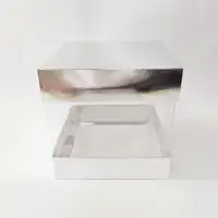 20x20x20 Gümüş Alt Üst Kartonlu Asetat Kutu - Görsel 1