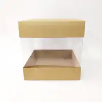20x20x20 Kraft Alt Üst Kartonlu Asetat Kutu - Görsel 1