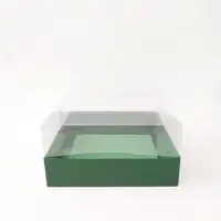 20x20x10 Yeşil Altı Kartonlu Asetat Kutu - Görsel 1