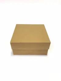 20x20x10 Komple Kraft Kutu - Görsel 2